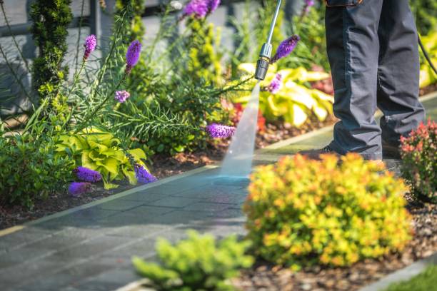 Trusted Shaw Heights, CO Pressure Washing Services Experts